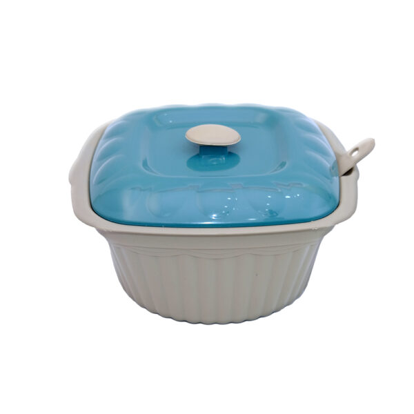 Basin Segi Shell
